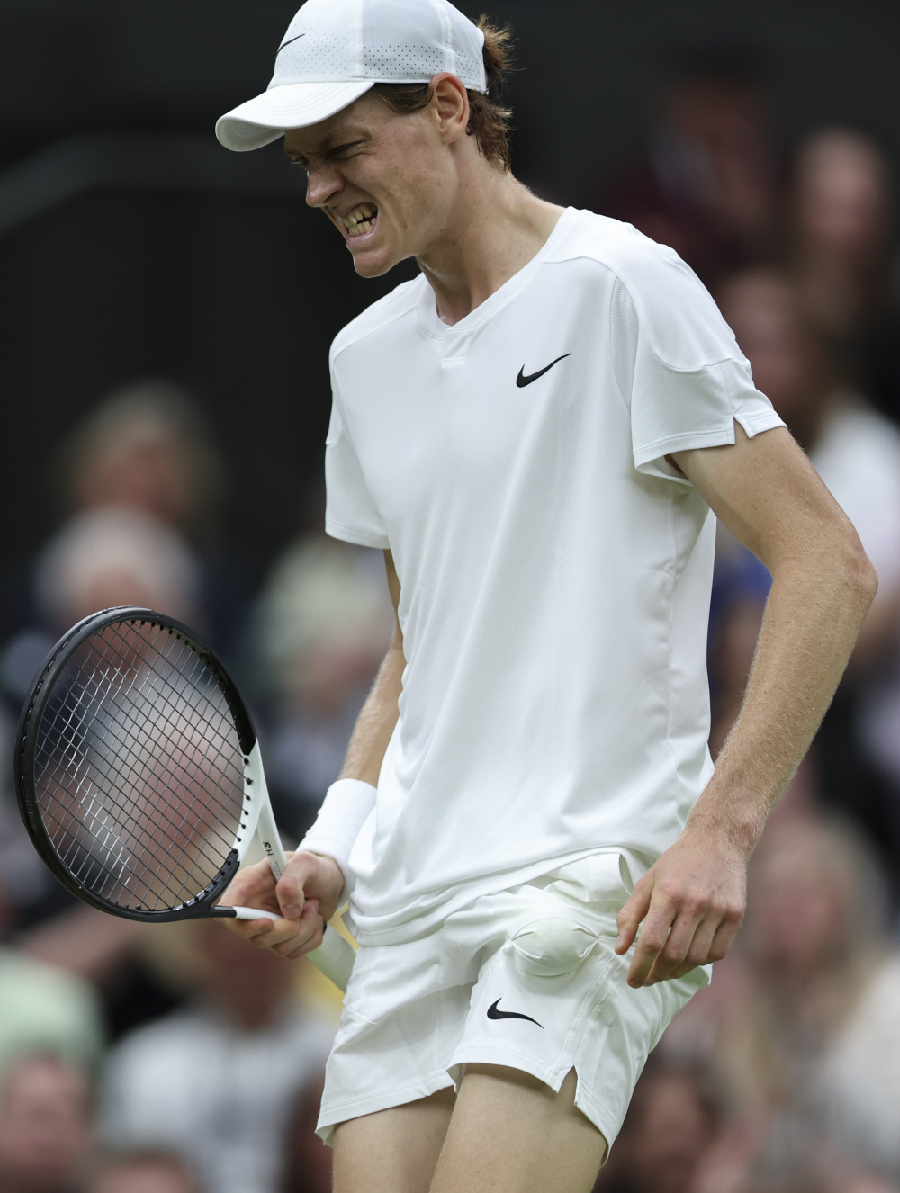 仅让支持者 仅让支持者