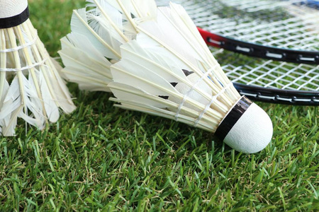 来增强阵容 来增强阵容